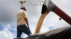 PMTV: La soja subi hasta U$S 4/Tn. Datos de ventas norteamericanas motivaron a compradores