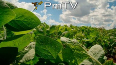 PMTV: Subas de U$S 4/Tn en soja y rueda neutral en maz