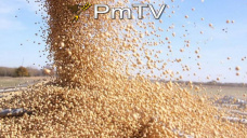 PMTV: Cadas superiores a los U$S 4/Tn para soja, maz y trigo de CBOT.