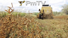 PMTV: La soja lleg a dispararse hasta U$S 7/Tn en los contratos de CBOT 