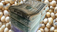 PMTV: nfimas subas en soja y perdidas de U$S 2/Tn en trigo