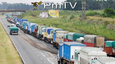 PMTV: Activo inters por operaciones de soja y maz disponible