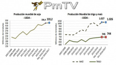 PMTV: El informe USDA golpe a los commodities. Cadas de ms de tres dlares en Soja, Maz y Trigo