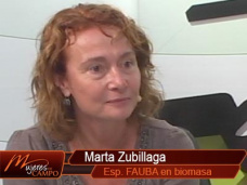 MDC: Residuos, compostaje y generacin de energa- Marta Zubillaga- FAUBA